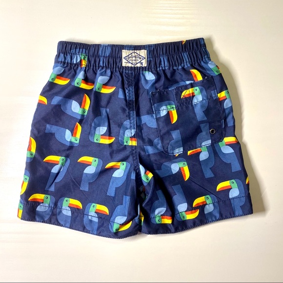 Baby Gap Toucan Swimming Shorts - Boys 2T - Picture 2 of 4